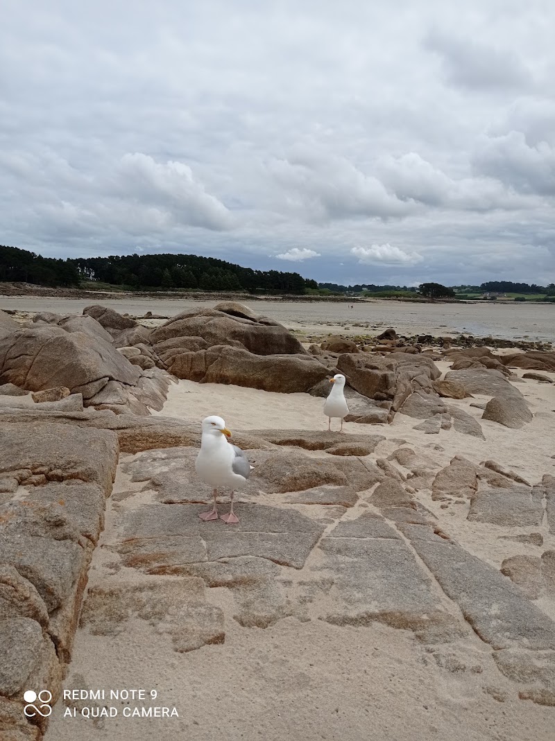 Plage de Toul Gwenn - Plage de Toul Gwenn, 22560 Pleumeur-Bodou, France