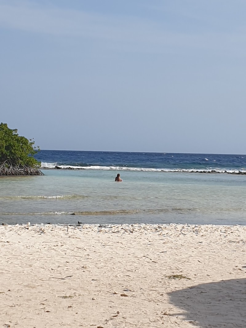 Savaneta Beach - Savaneta Beach, F22W+5GV, Savaneta, Aruba
