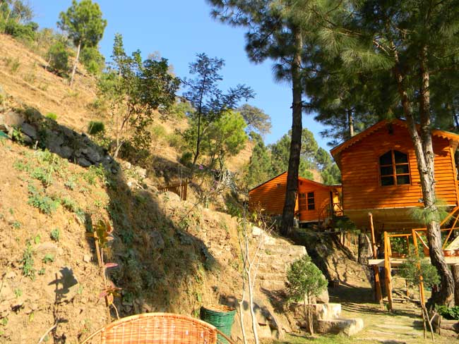 VAYDIC RESORT YOGA RETREAT - VAYDIC RESORT YOGA RETREAT nandoh road, Kasauli, Himachal Pradesh 173204, India