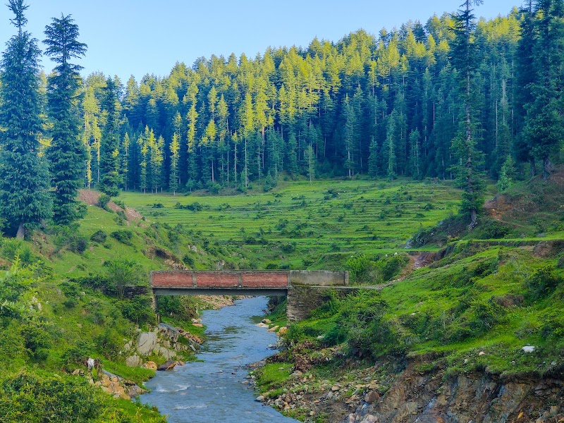 Lohaghat - Lohaghat, Uttarakhand 262524, India