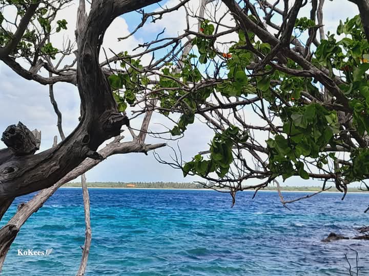 Ocean breeze Snorkeling centre - Ocean breeze Snorkeling centre No-42 alles garden, Trincomalee, Sri Lanka