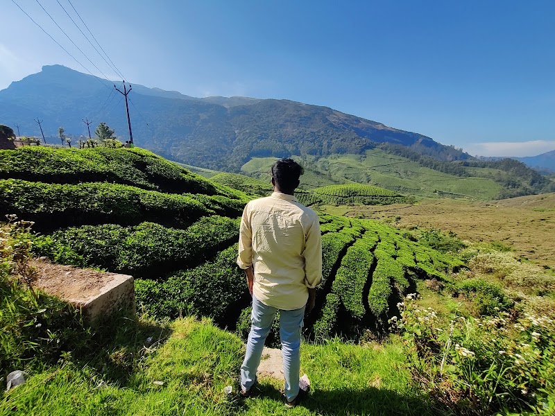 Munnar Tourist Places - Munnar Tourist Places Factory Division, Pallivasal, Estate, Munnar, Pallivasal, Kerala 685565, India