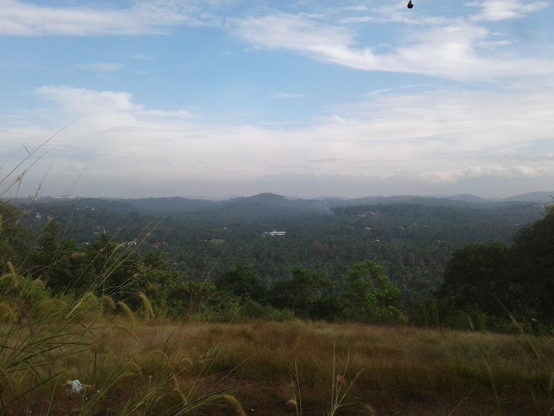 Palazhi Mountain View Point