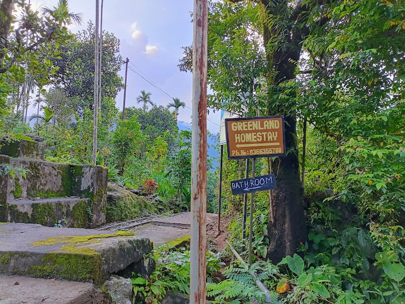Double Decker Living Root Bridge Meghalaya - Double Decker Living Root Bridge Meghalaya 7M2C+GQ5, Nongriat, Meghalaya 793108, India