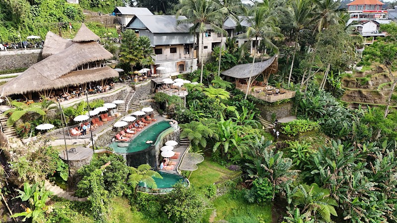 Tis Cafe - Tis Cafe Jl. Raya Tegallalang, Tegallalang, Kec. Tegallalang, Kabupaten Gianyar, Bali 80561, Indonesia