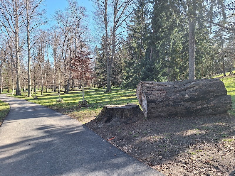 Park Stromovka - Park Stromovka, Královská obora Stromovka, Bubeneč, 170 00 Praha 7, Czechia