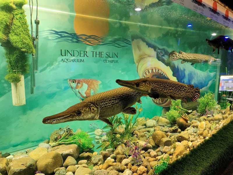 Under The Sun Aquarium, Udaipur - Under The Sun Aquarium, Udaipur Fateh Sagar Overflow, Fateh Sagar Lake, Udaipur, Rajasthan 313004, India