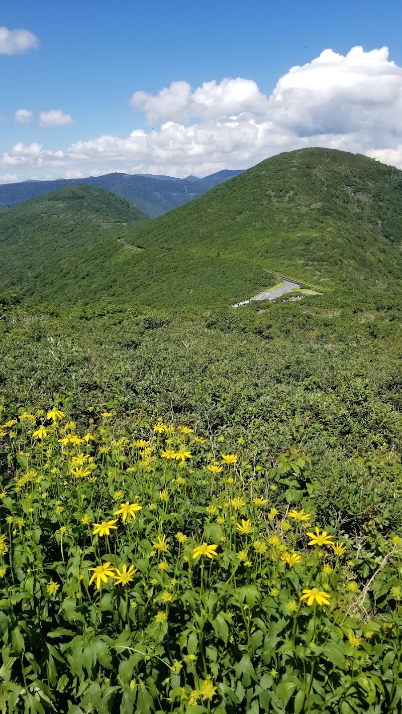 Craggy Pinnacle Trail - Craggy Pinnacle Trail 3641 Blue Ridge Pkwy, Barnardsville, NC 28709, USA