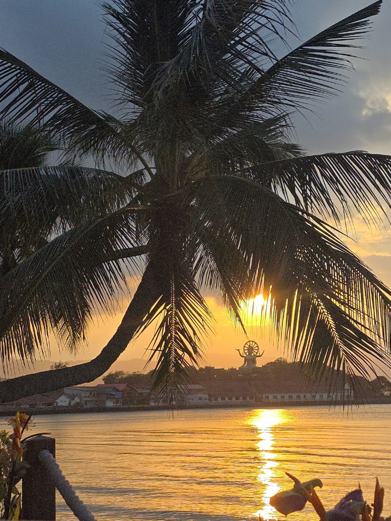 Sea La Vie Bar and Restaurant Koh Samui - ซีลาวีบาร์ เกาะสมุย - Sea La Vie Bar and Restaurant Koh Samui - ซีลาวีบาร์ เกาะสมุย 79, 100 Plai leam, Tambon Bo Put, Amphoe Ko Samui, Chang Wat Surat Thani 84320, Thailand