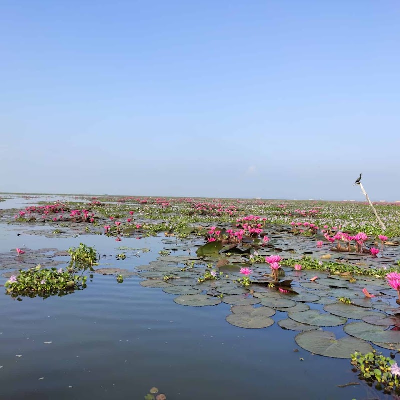 Vembanad Lake - Vembanad Lake, Kerala