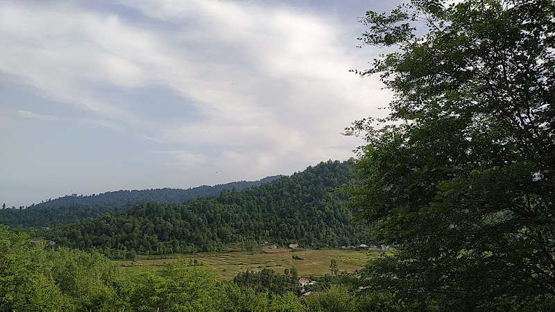 Siyahdaran Forest Park - Siyahdaran Forest Park, Gilan Province, سیادران, خیابان ساحل دریای هشتپر، پارک جنگلی سیاهداران، Iran