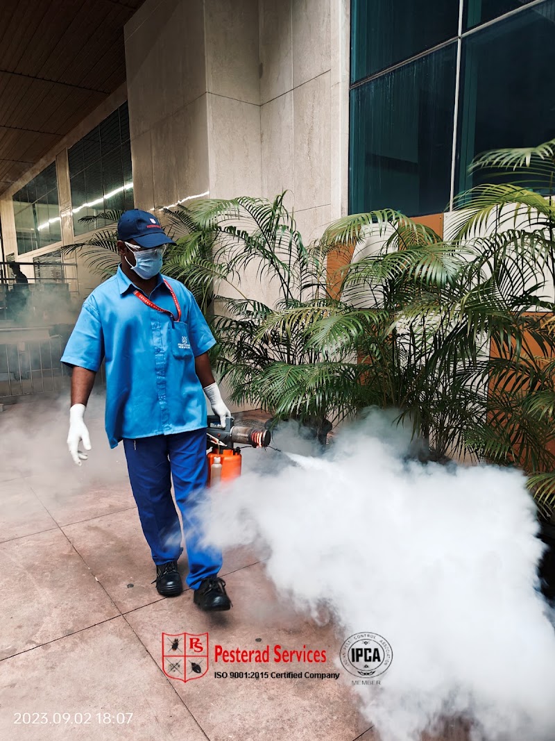 PESTERAD SERVICES - PESTERAD SERVICES, 1st Floor, Basco Court, F-5 & 6, Gandhi Bazaar Main Rd, Gandhi Bazaar, Basavanagudi, Bengaluru, Karnataka 560004, India