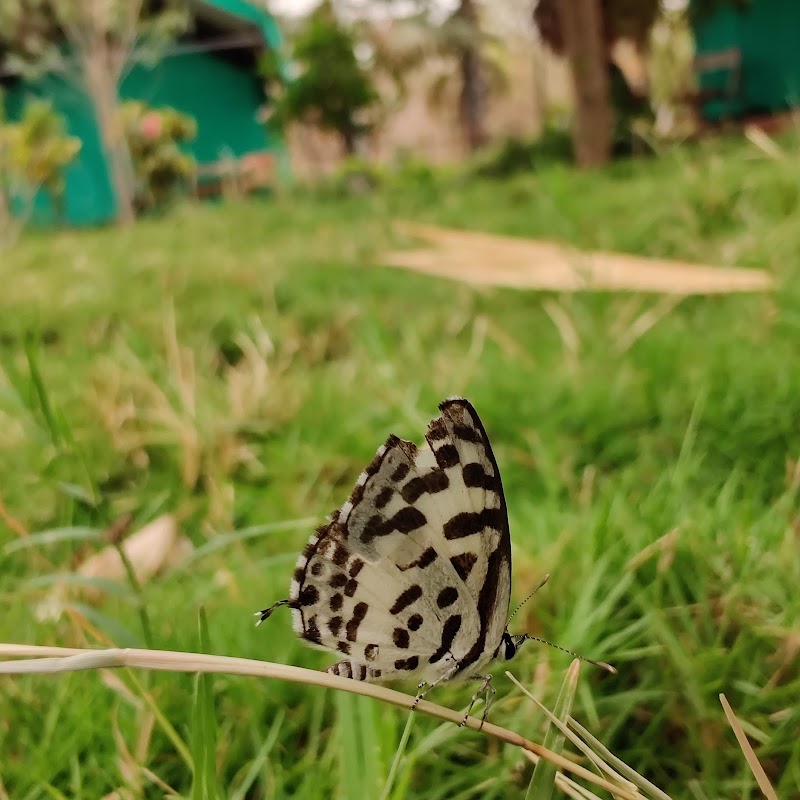 Agarzari Adventure Park - Agarzari Adventure Park Unnamed Road, Agarzari, Maharashtra 442404, India
