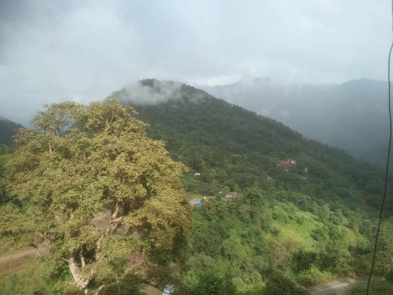 Bird's nest and nature stay - Bird's nest and nature stay, Ashok Verma, Neelkanth Mahadev Temple Road Gauri Kunj, Village Judda, Post Office, near Rishikesh, Maral, Ediya, Uttarakhand 249304, India