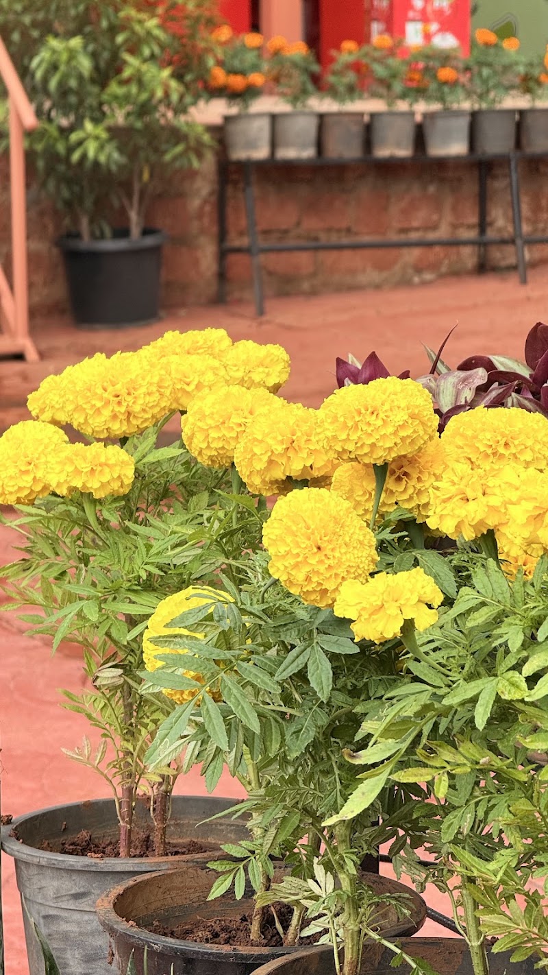 Mapro Garden Heritage - Mapro Garden Heritage Panchgani - Mahabaleshwar Rd, Bhose, Mahabaleshwar, Maharashtra 412805, India