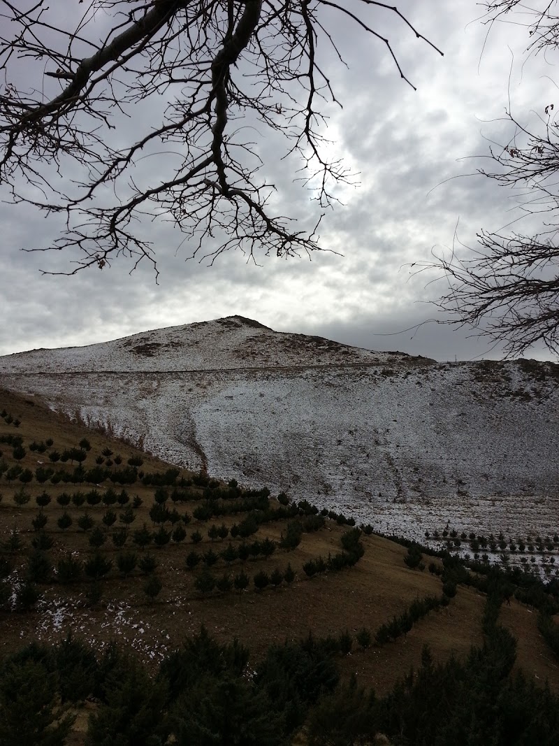 El Daghi park - El Daghi park, پارک ائل داغی، Qavazang, Zanjan Province, Iran