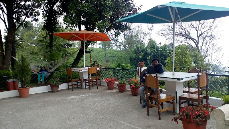 Singara Tea Factory Outlet - Singara Tea Factory Outlet 8RX7+FG2, Dolphin's Nose Rd, Alwarpet, Burliyar, Coonoor, Tamil Nadu 643101, India