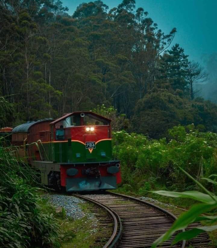 Ambewela - Ambewela, Sri Lanka