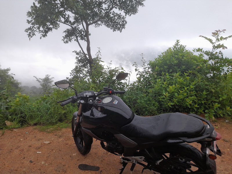 Main View Point - Main View Point PM5F+RJR, SH 85, Bisle State Forest, Karnataka 573123, India
