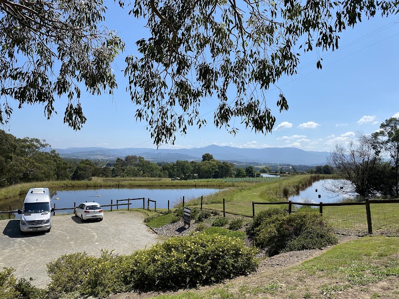 Yarra Valley Wine Tasting Tours - Yarra Valley Wine Tasting Tours, 7 Hall St, Yarraville VIC 3013, Australia