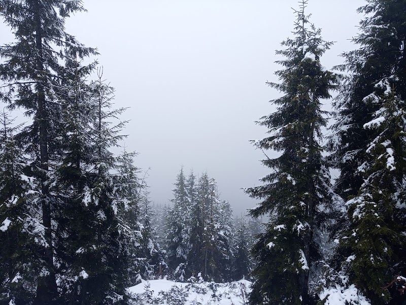POKUT - POKUT Pokut Yaylası, 53780 Ortanköy/Çamlıhemşin/Rize, Türkiye