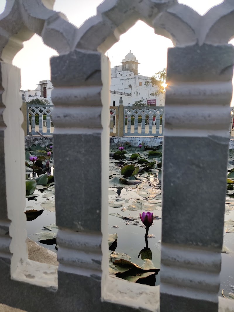 Lotus pond - Lotus pond HJVR+G3C, Kodiyat, Rajasthan 313031, India