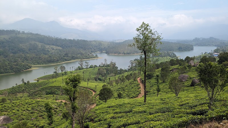Munnar Tourism Destination - Munnar Tourism Destination 33Q5+FQ5, General Hospital Rd, Nullatanni, Munnar, Kerala 685612, India