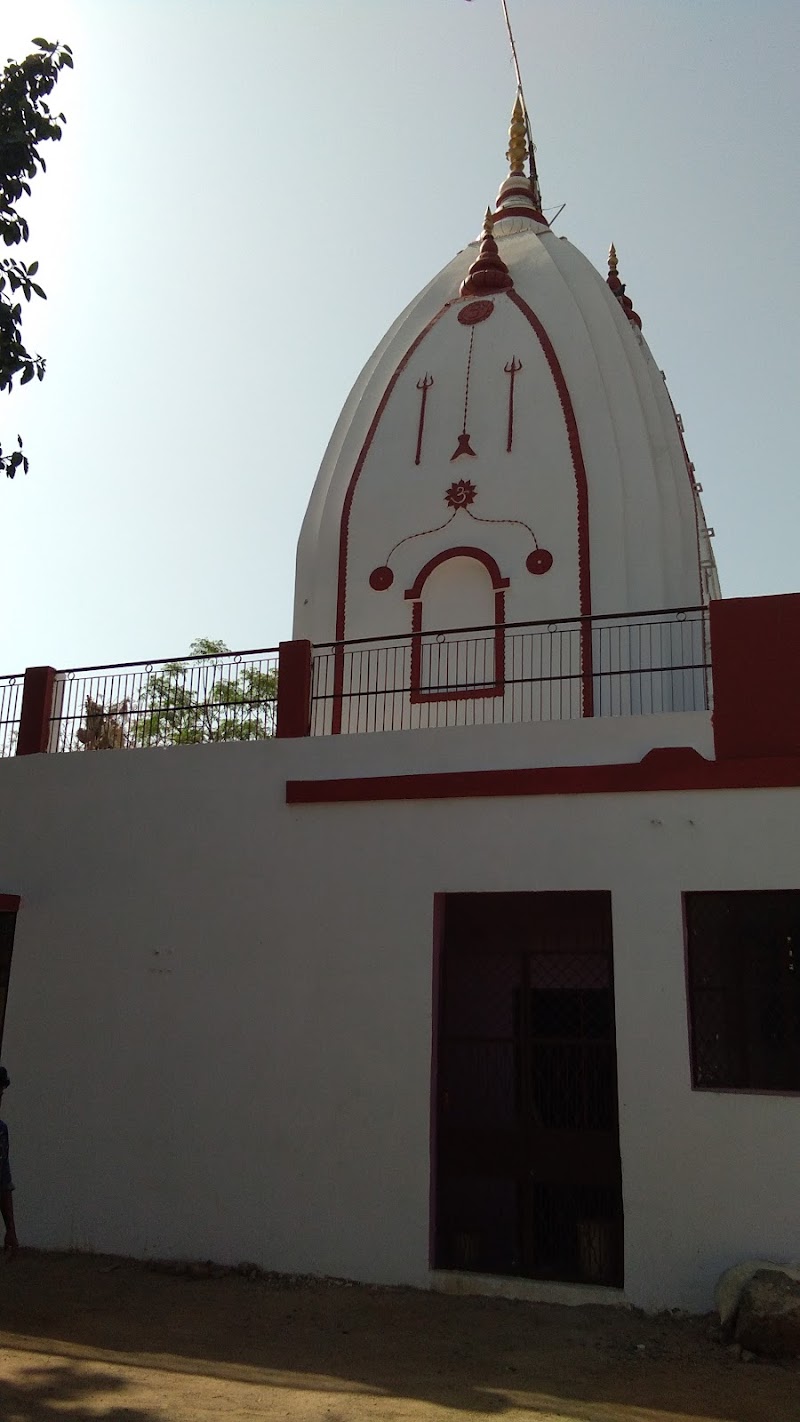 Ancient Shiv Temple, Carterpuri, Gurugram - Ancient Shiv Temple, Carterpuri, Gurugram 1334, Block F, Carterpuri Village, Sector 23A, Gurugram, Haryana 122017, India