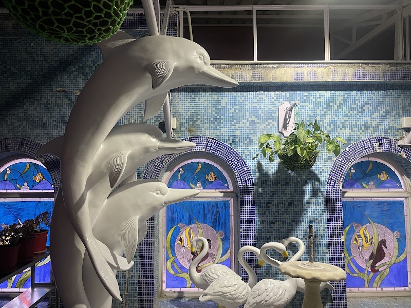 Jawahar Aquarium - Jawahar Aquarium, F35F+9FW, Mall Rd, The Mall Road, Mussoorie, Uttarakhand 248179, India
