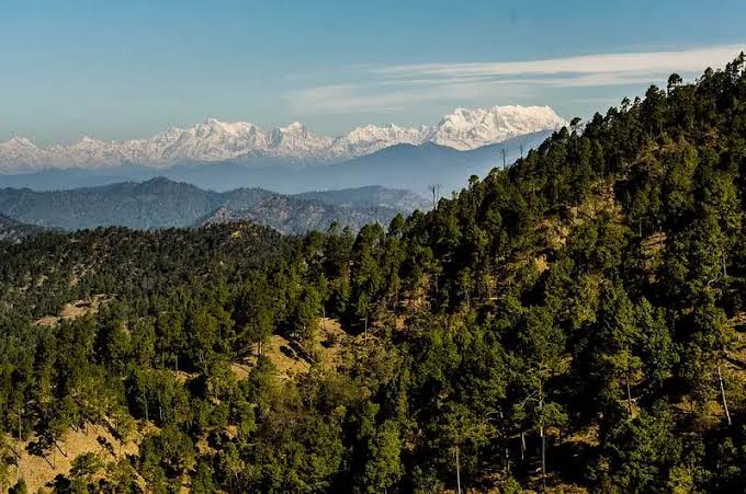 Aranya Nature Retreat - Aranya Nature Retreat MR2J+9J2, Kwite, Uttarakhand 263623, India