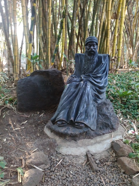 Koregaon Park - Koregaon Park, Pune, Maharashtra 411001, India