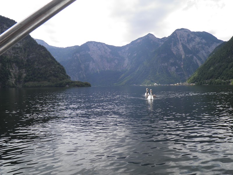 Bootsvermietung Schwarzmayr - Boat Rental - Bootsvermietung Schwarzmayr - Boat Rental Hallstätter, 4830 See, Austria