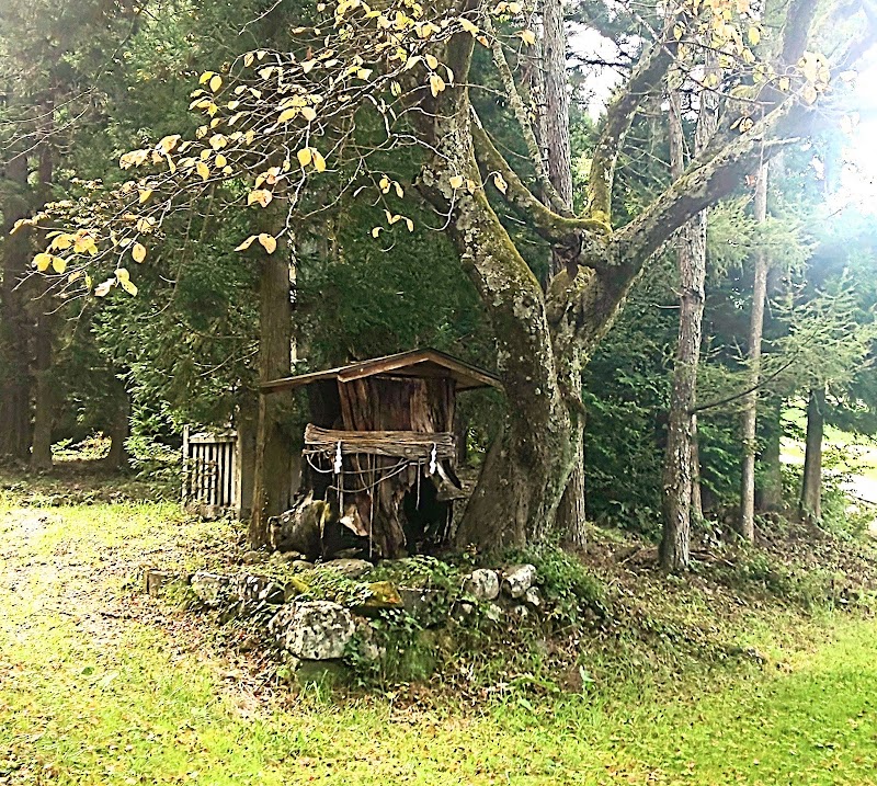 Tateshina - Tateshina, Kitasaku District, Nagano, Japan