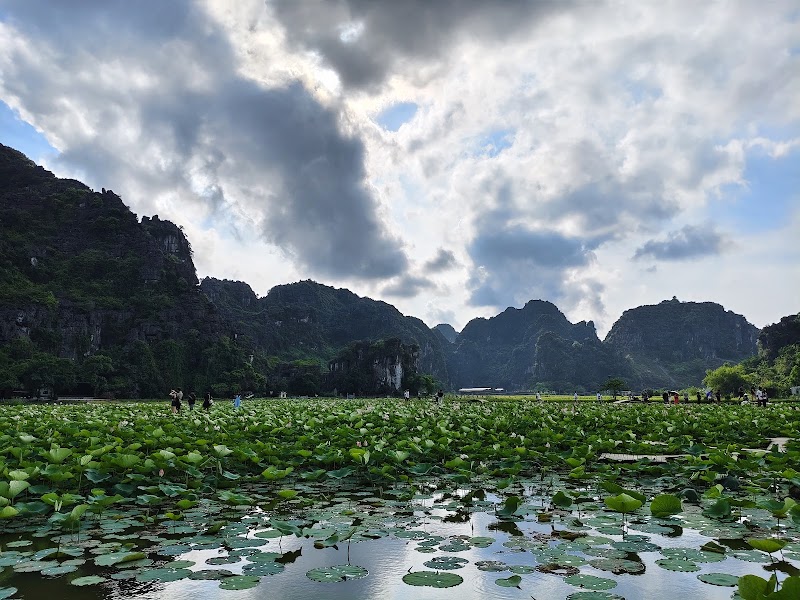 Hang Múa - Hang Múa Hang Múa, Ninh Hải, Hoa Lư, Ninh Bình, Vietnam