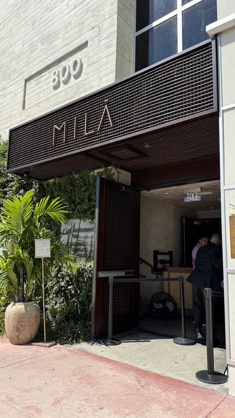 MILA - MILA, 1636 Meridian Ave Rooftop, Miami Beach, FL 33139, USA