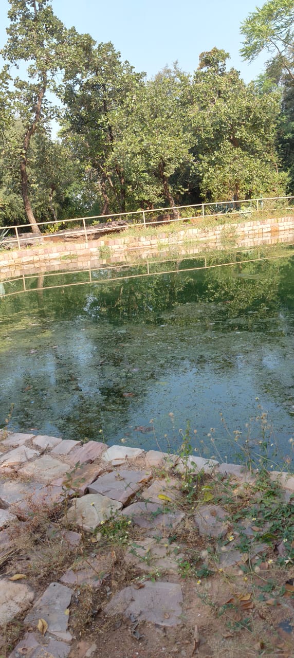 Stupa 2 - Stupa 2 FPJP+7GF, Sanchi, Madhya Pradesh 464661, India