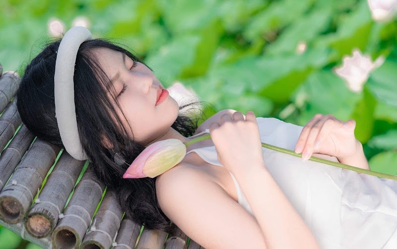 Đầm sen Hành Cung Vũ Lâm Ninh Thắng - Đầm sen Hành Cung Vũ Lâm Ninh Thắng, 6X83+W63, Nam Hoa Lu, Ninh Binh, Vietnam