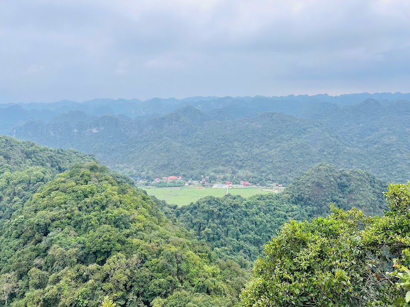 Động Trung Trang - Động Trung Trang, Cat Hai, Hai Phong 05418, Vietnam