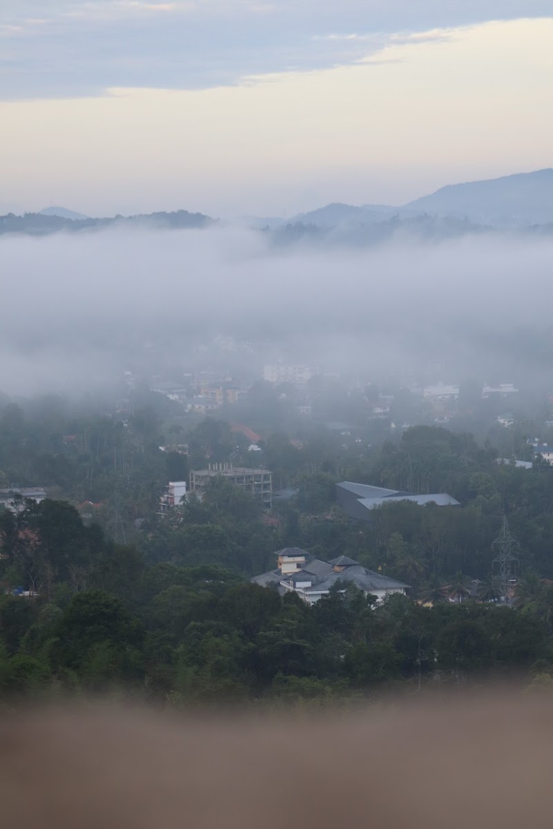 Myladippara - Myladippara, Civil Station, Madathumpadi, Kalpetta, Keralam 673122, India