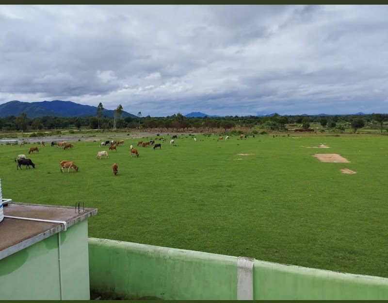 Malgaon GP - Malgaon GP, W4H5+3HX, Bhawanipatna, Karlakot, Odisha 766003, India