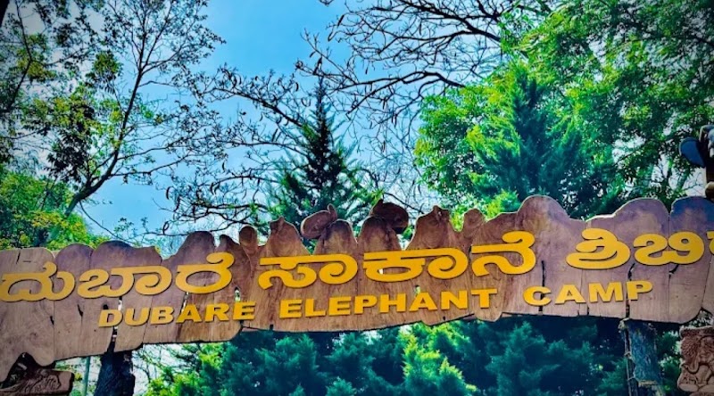 Dubare elephant camp Coorg - Dubare elephant camp Coorg, 9WC3+Q7Q, Nanjarayapatna, Karnataka 571234, India