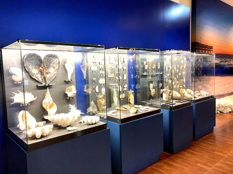 Institute of Oceanography - Institute of Oceanography, Số 1, Cầu Đá, Nha Trang, Khánh Hòa, Vietnam