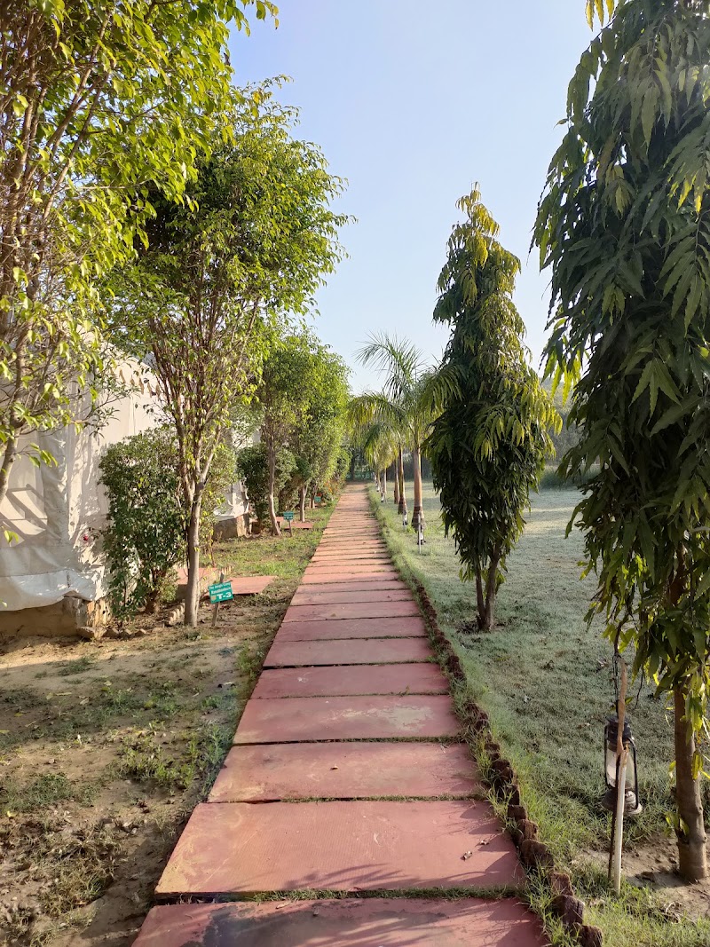 Tiger Echo Resort Ranthambore - Tiger Echo Resort Ranthambore, Sultan Bagh Marg, opp. Govt. Sr. Sec. School, Rantnthambore Fort, Ranwal, Rajasthan 322029, India