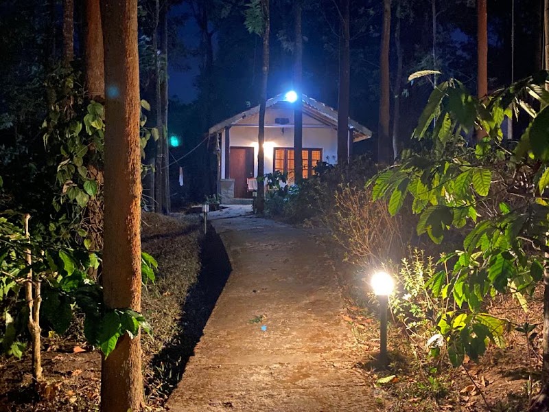The Wilderness Resort - The Wilderness Resort Allurvayal, Thorpally, Mudumalai, Gudalur, Tamil Nadu 643211, India