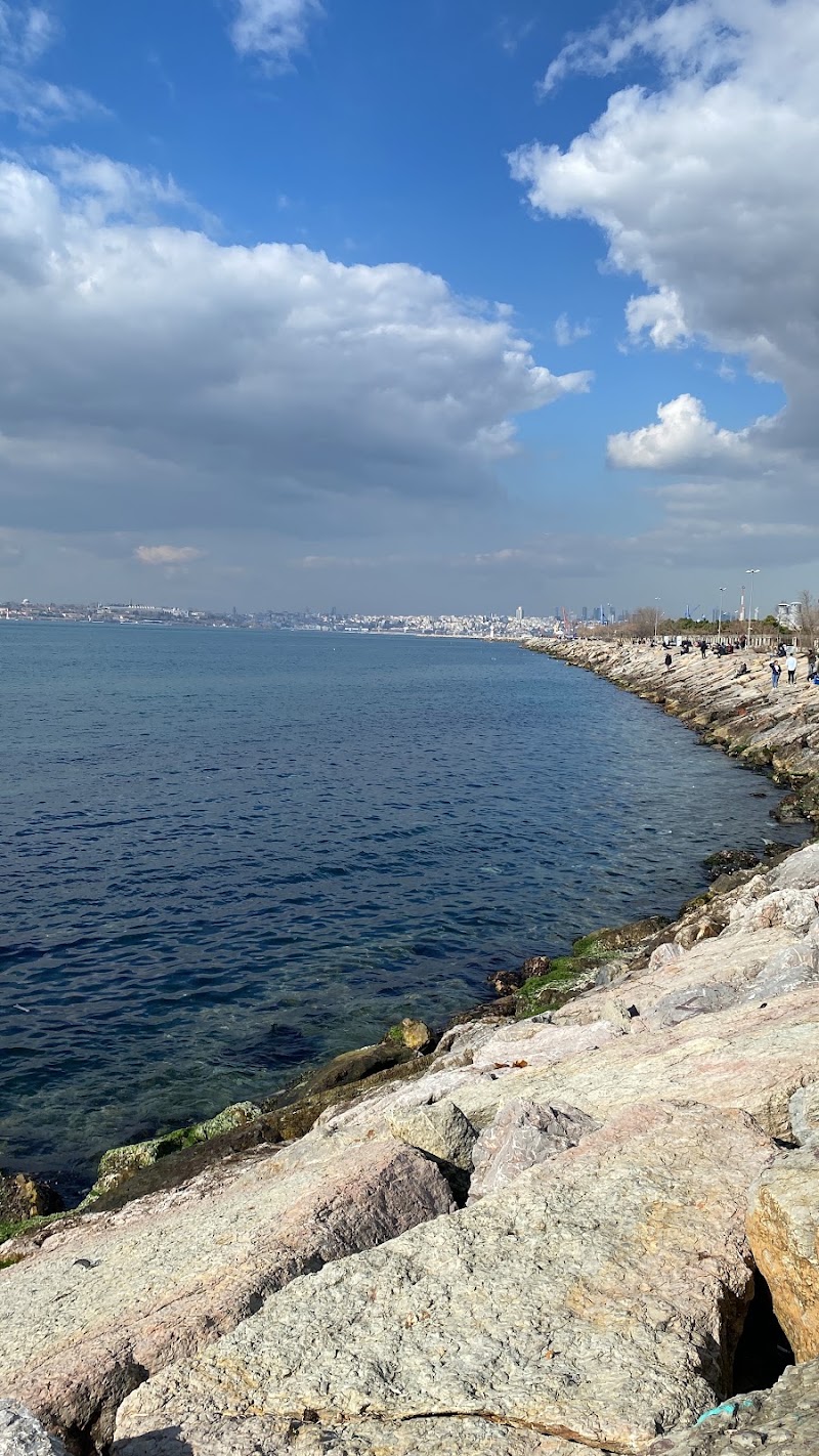 KADIKÖY - MODA - KADIKÖY - MODA, Caferağa, Moda Cd. No:90, 34710 Kadıköy/İstanbul, Türkiye