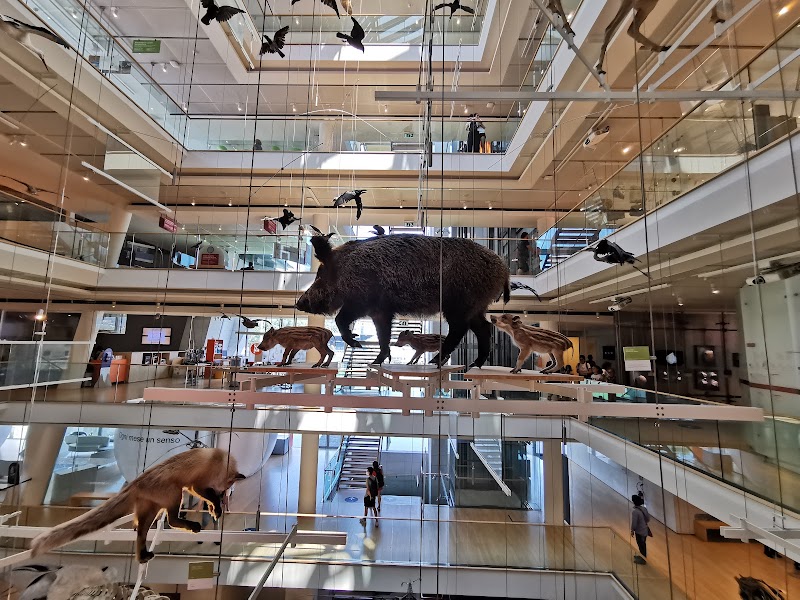 MUSE - Science Museum - MUSE - Science Museum Corso del Lavoro e della Scienza, 3, 38122 Trento TN, Italy
