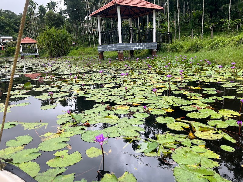 Wayanad Adventure Camp - Wayanad Adventure Camp Wayanad, Kerala 673575, India
