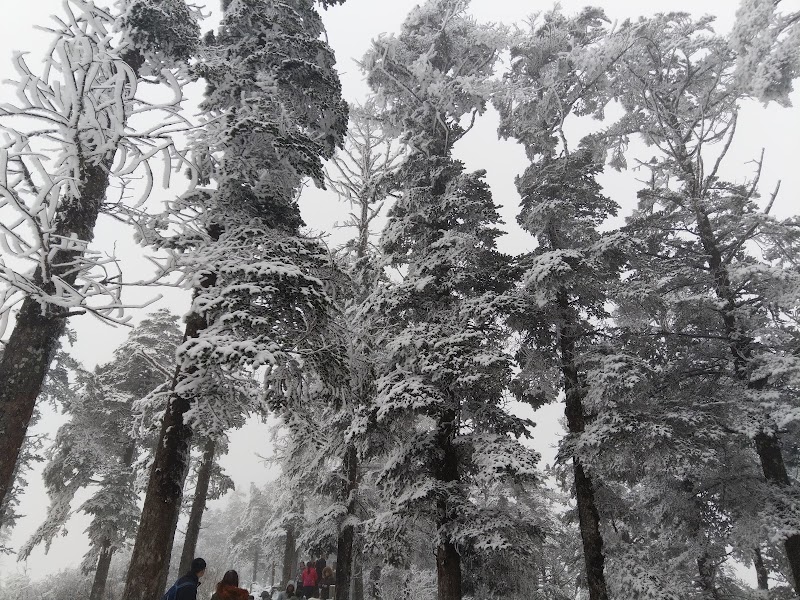 Xiling Xueshan Ski Resort - Xiling Xueshan Ski Resort, P62M+W97, Dayi County, Chengdu, Sichuan, China, 611346