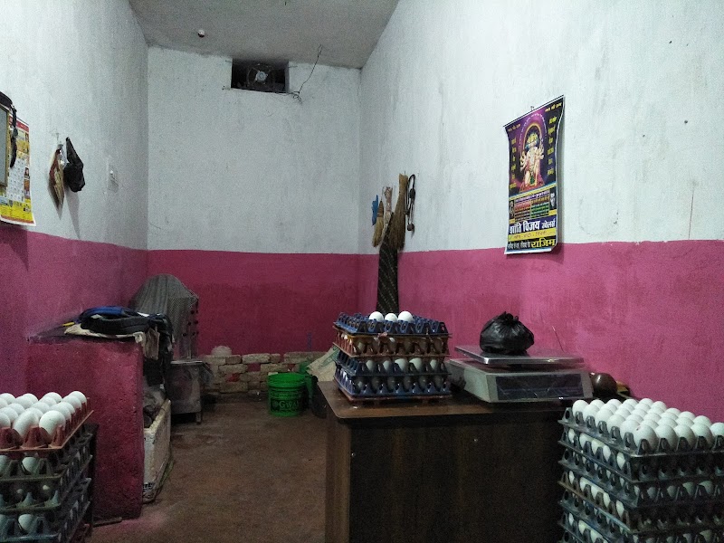 Taja chicken Center.( Jitu bhai) fing. - Taja chicken Center.( Jitu bhai) fing., purana bus steation, Fingeshwar, Gadahidihi, Chhattisgarh 493992, India