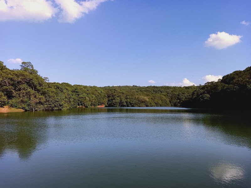 Charlotte Lake